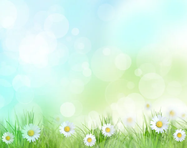 Piękne wiosenne tło — Zdjęcie stockowe