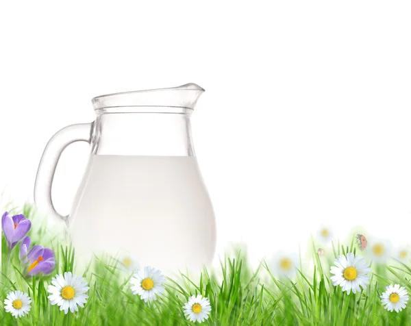 新鲜的牛奶壶和玻璃与绿色草原 — 图库照片