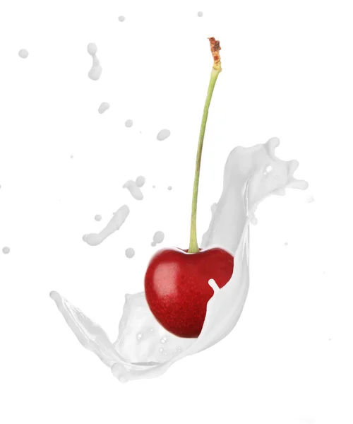 Cherry with milk splash — Stock Photo, Image