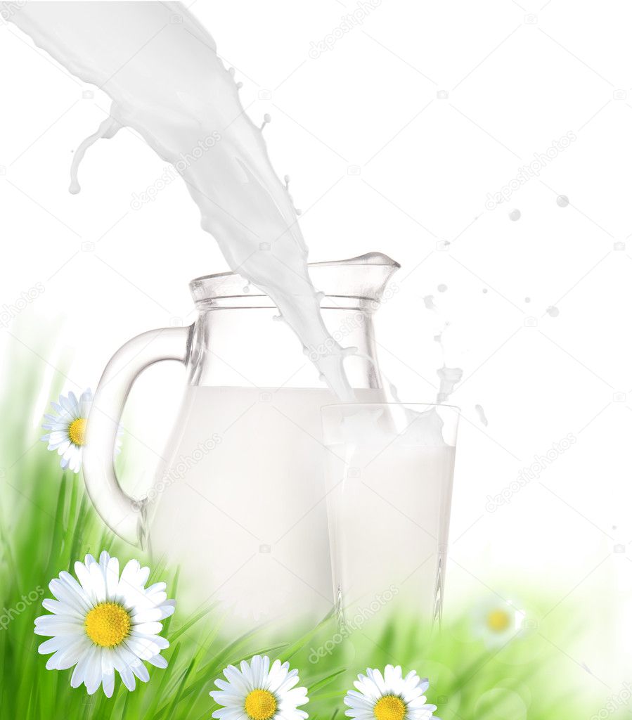Milk jug and glass on the grass with chamomiles flowers over white