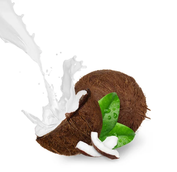 Cracked Kokosnuss mit Milchspritzer — Stockfoto