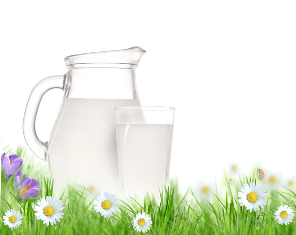 Jarra de leche y vidrio en la hierba con flores de manzanillas sobre blanco —  Fotos de Stock