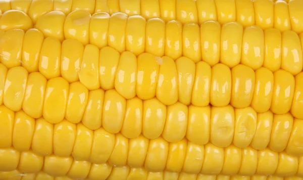 stock image Corn on a white background