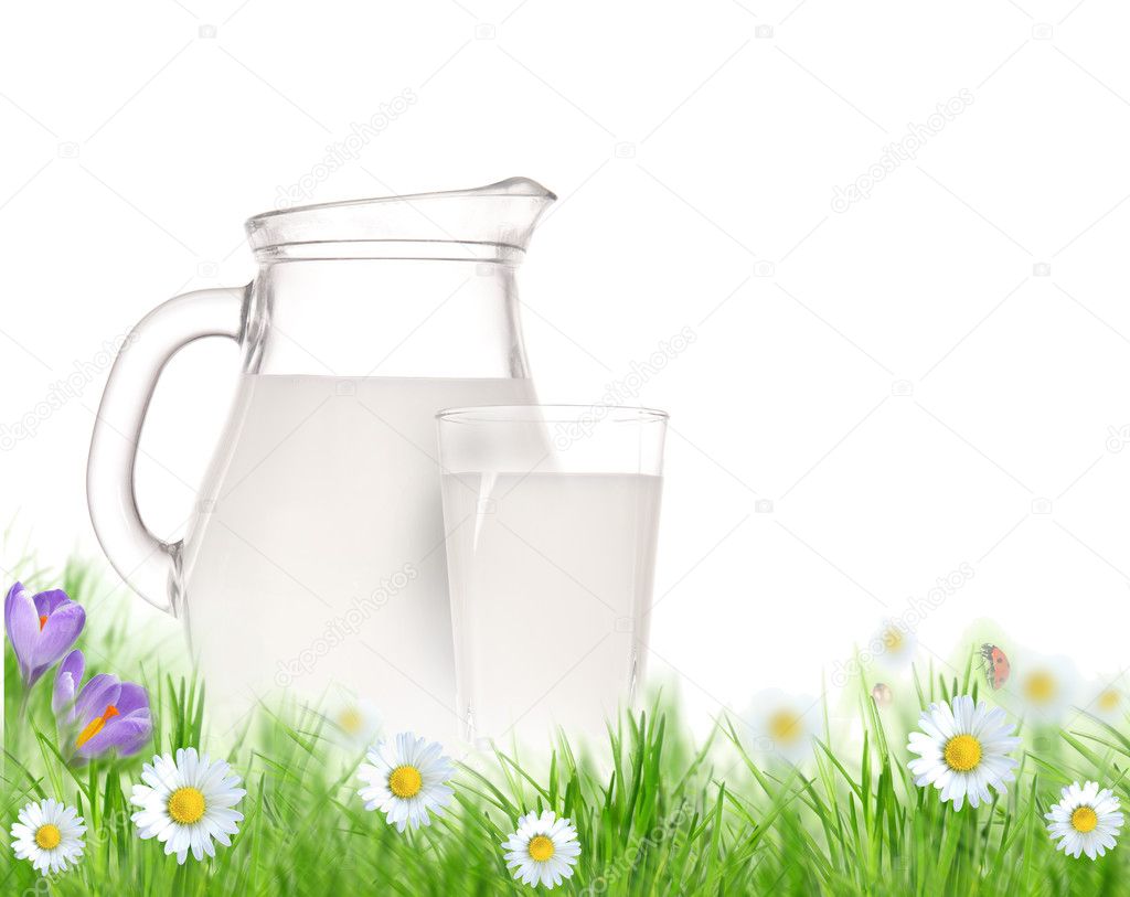 Milk jug and glass on the grass with chamomiles flowers over white