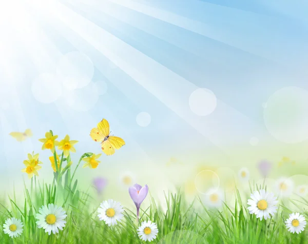 stock image Beautiful spring background