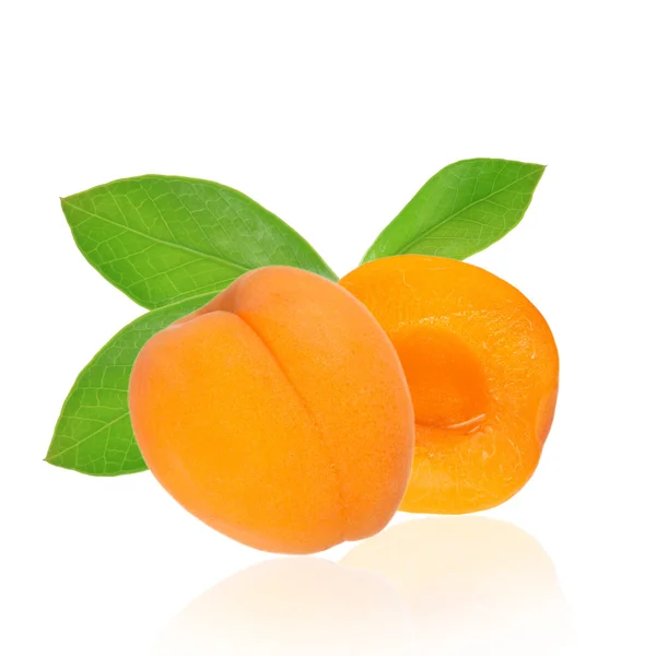 Свіжі абрикоси над білим — стокове фото