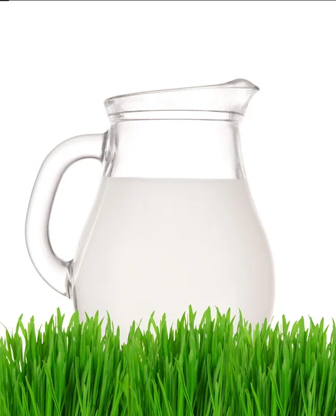 Brocca di latte sull'erba — Foto Stock