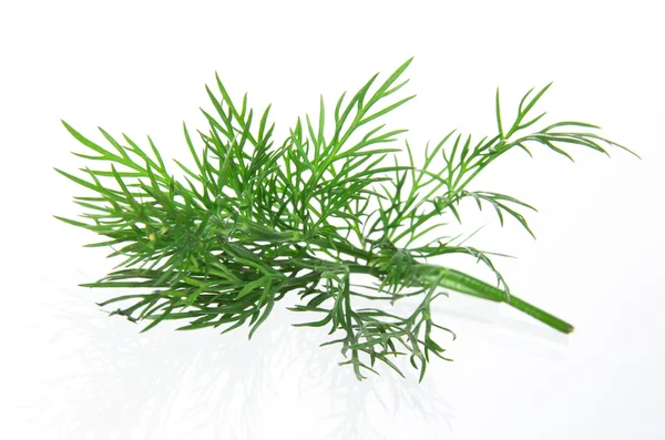 Fresh dill over white background — Stock Photo, Image