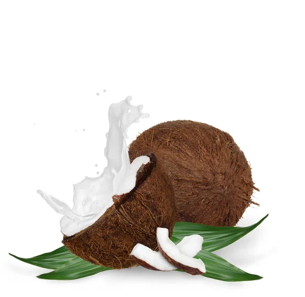 Расколотый кокос с брызгами молока — стоковое фото