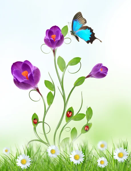 Fioletowy wzór kwiatu — Zdjęcie stockowe