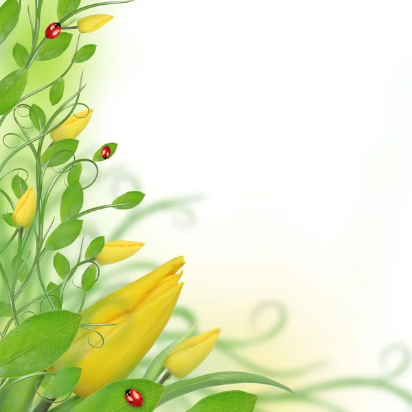 Beautiful floral design — Stock Photo, Image
