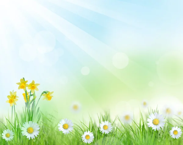 Piękne wiosenne tło — Zdjęcie stockowe