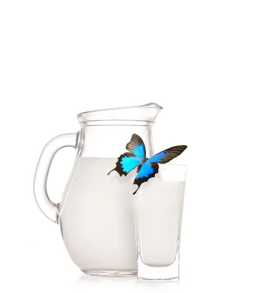 Brocca di latte e vetro con farfalla esotica — Foto Stock