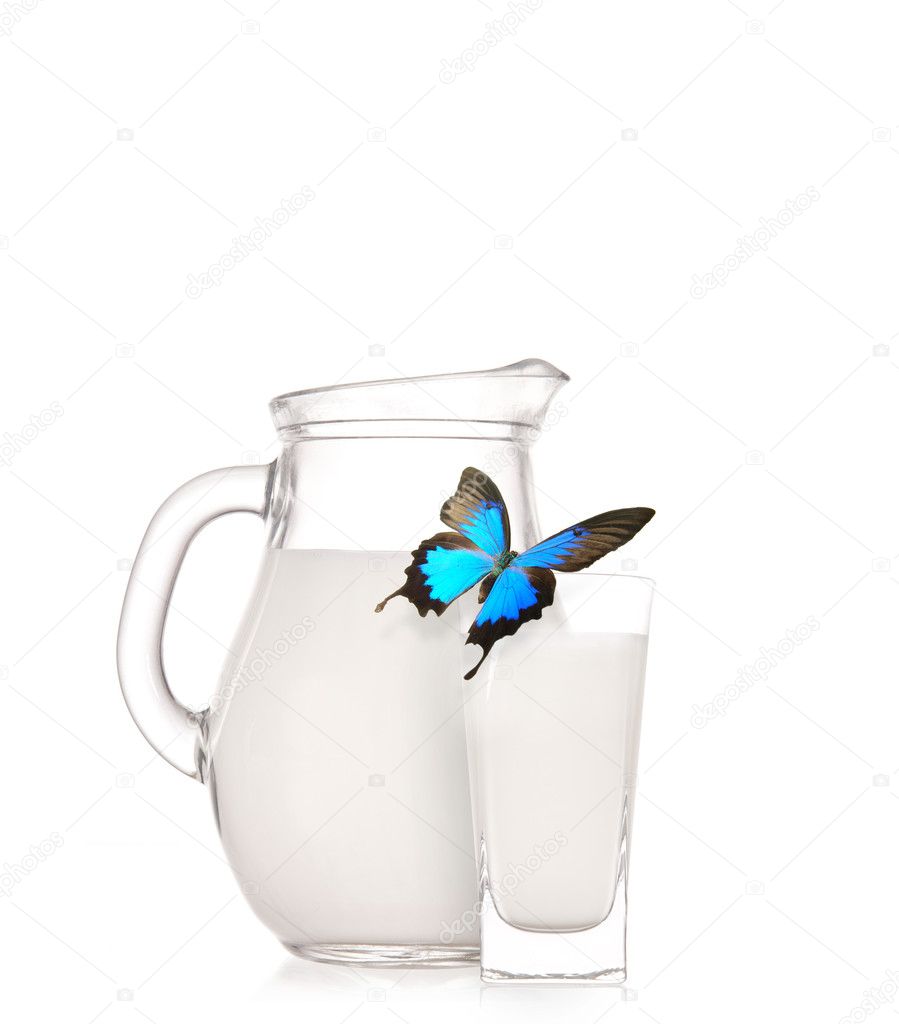 Milk jug and glass with exotic butterfly