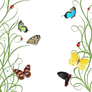 güzel çiçek tasarım