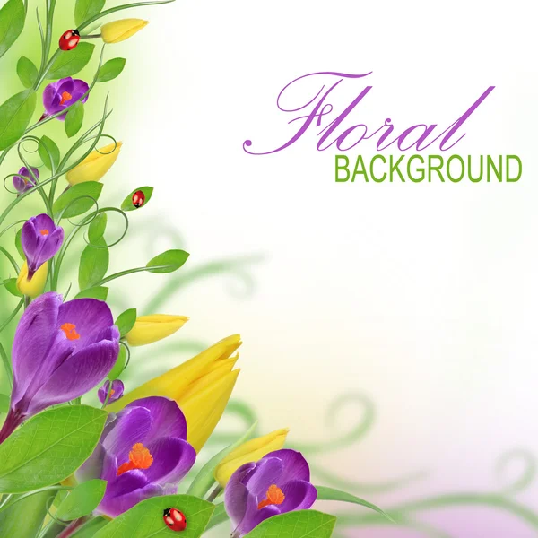 stock image Beautiful floral design