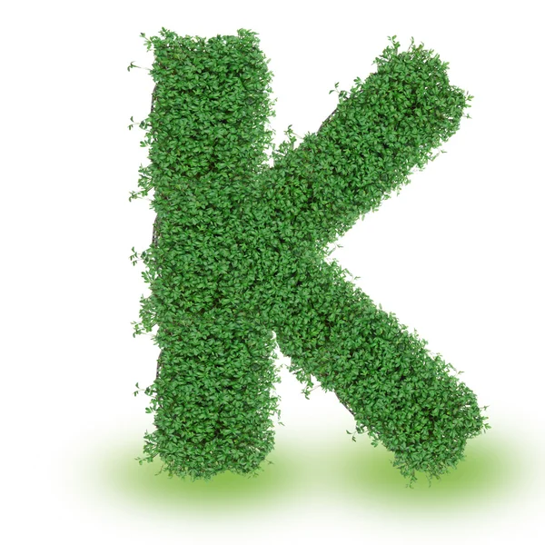 Buchstabe für grünes Alphabet — Stockfoto