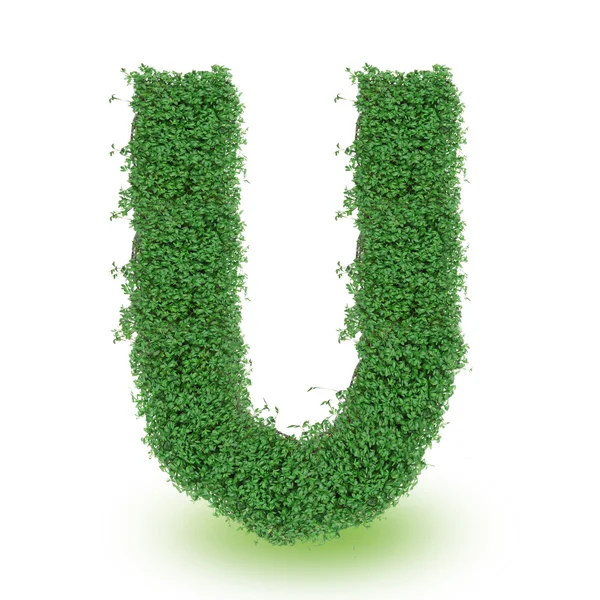 Litera alfabetu zielony — Zdjęcie stockowe