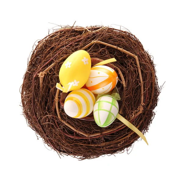 Pequeno ninho com ovos — Fotografia de Stock