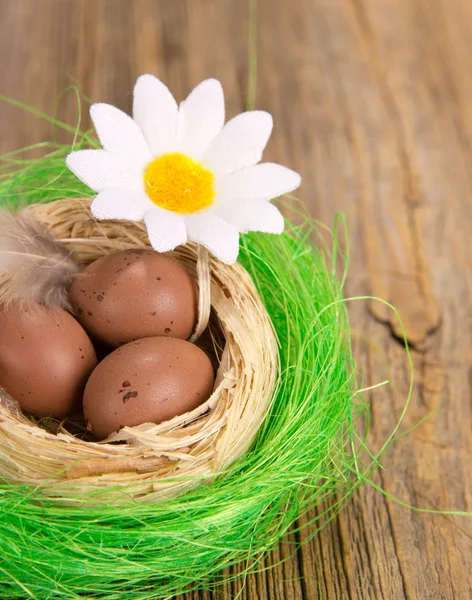 Small nest with eggs on wood — Stock Photo, Image