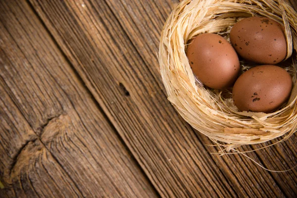 Pequeño nido con huevos en madera — Foto de Stock