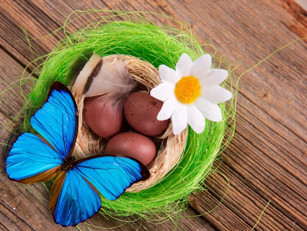 Small nest with eggs on wood — Stock Photo, Image
