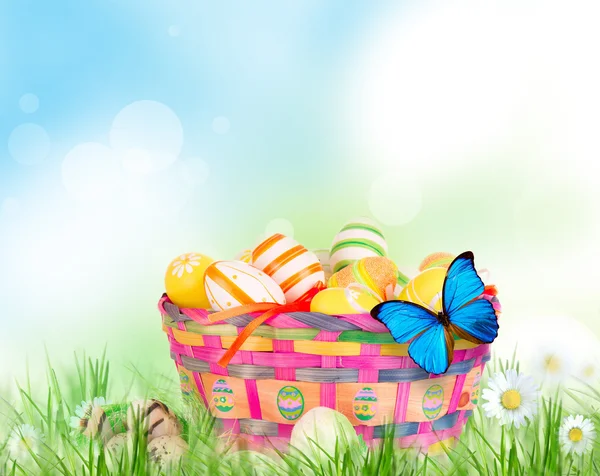 Красочные окрашенные пасхальные яйца в корзину — стоковое фото