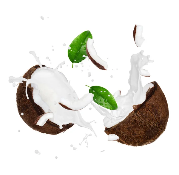 Coco con salpicadura de leche sobre blanco —  Fotos de Stock