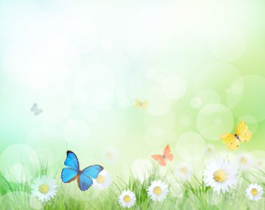 Spring meadow with exotic butterflies clipart