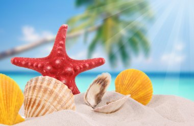 Picture from the beach clipart