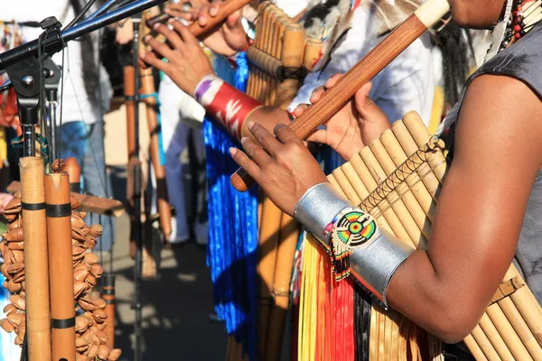 Μητρική μουσική της Νότιας Αμερικής — Φωτογραφία Αρχείου