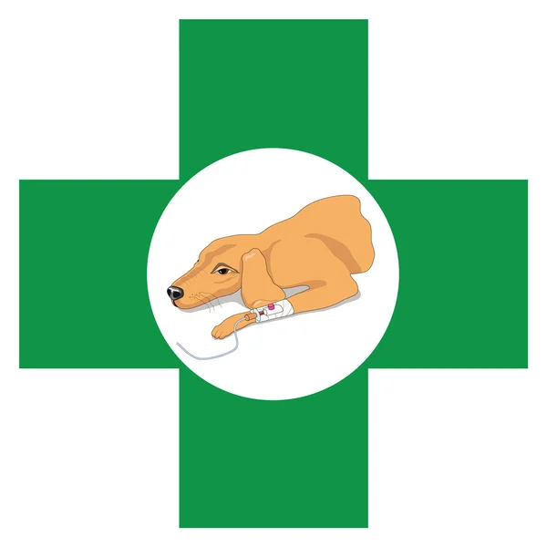 Segno di croce veterinaria con un'immagine del cane — Vettoriale Stock