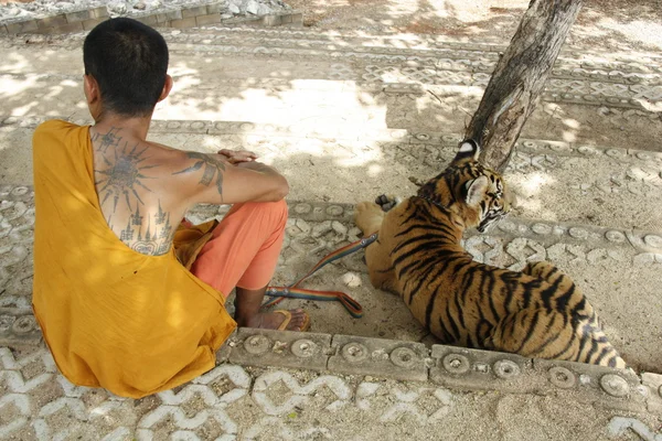 Μοναχός και η τίγρη — Φωτογραφία Αρχείου