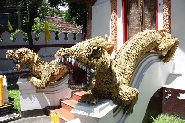 Draghi tempio tailandese — Foto Stock