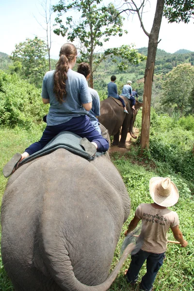 Elephant riding — Stock Photo, Image