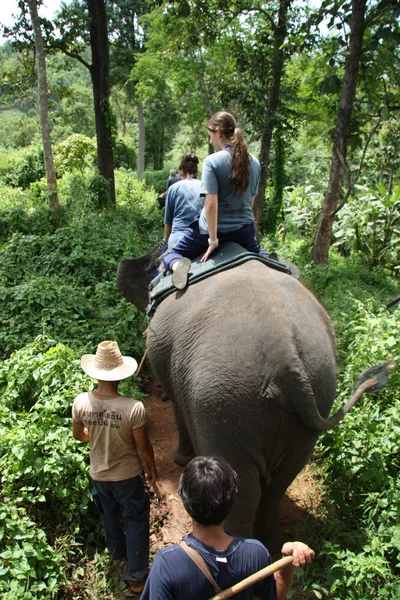 Equitación de elefantes — Foto de Stock