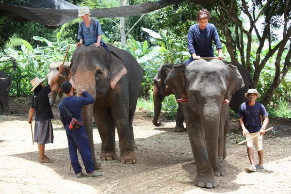 Jazda na słoniu — Zdjęcie stockowe