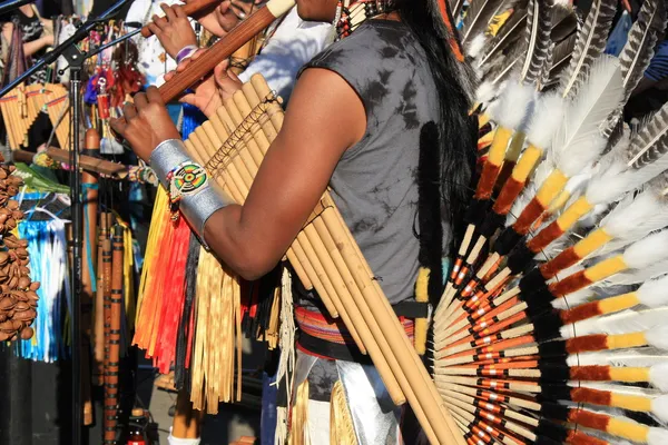 Музыка коренных народов Южной Америки — стоковое фото
