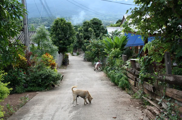 熱帯の村 — ストック写真