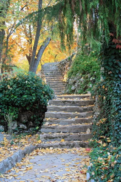 stock image Autumn park