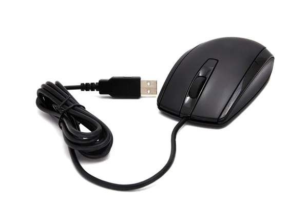 stock image Computer mouse