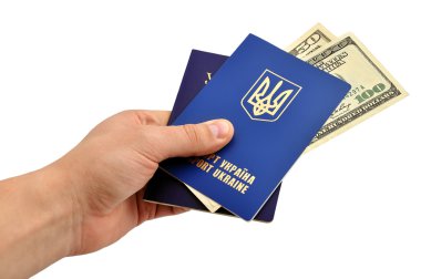 Passports and dollars clipart