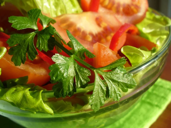 Fresh salad (tomato, lettuce, pepper, herbs) — Stock Photo, Image