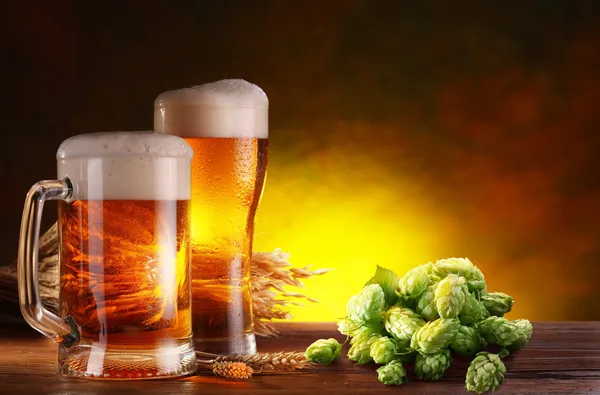 Bier und Hopfen. — Stockfoto