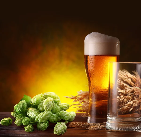 Bier und Hopfen. — Stockfoto