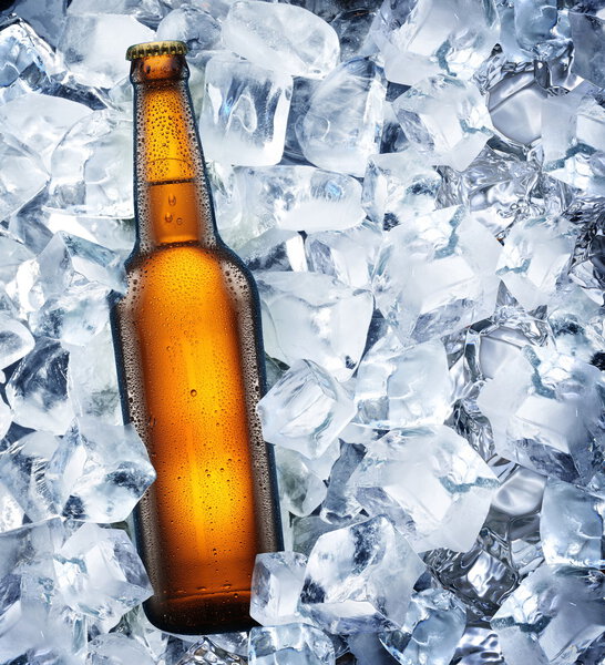 Бутылка пива во льду
