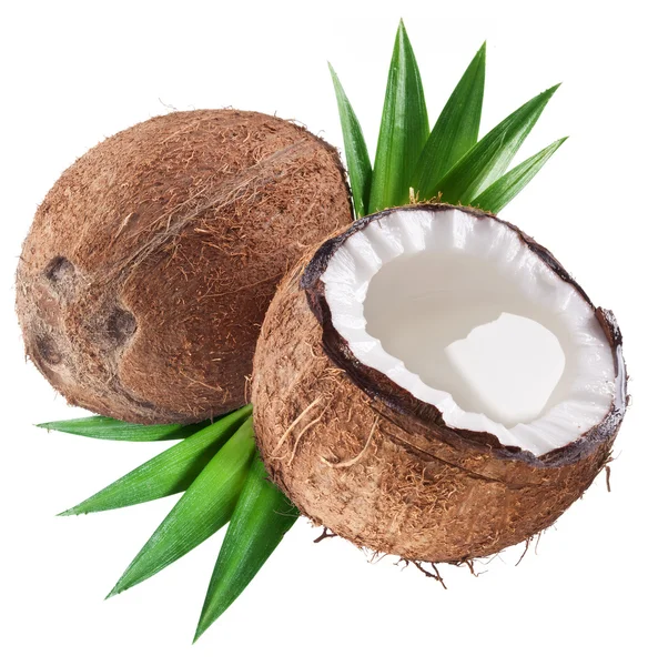 Kokosnoot op een witte achtergrond — Stockfoto