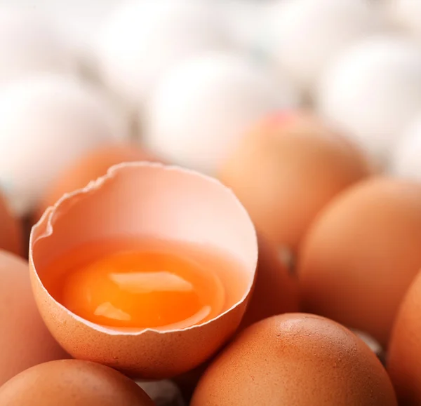 Kuřecí vejce. — Stock fotografie