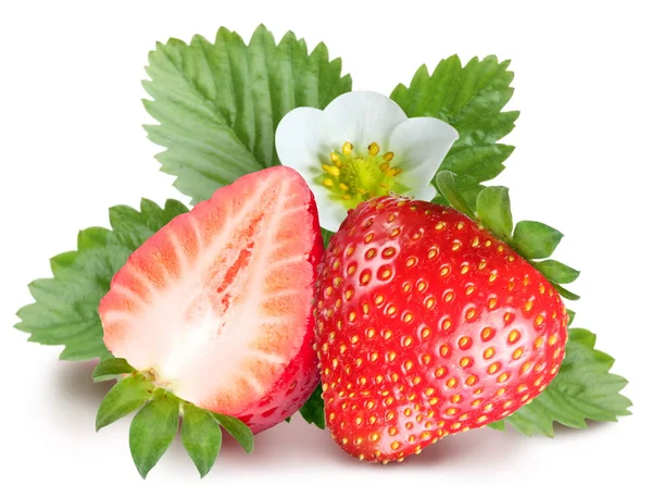 Erdbeeren mit Blättern und Blüten. isoliert auf weißem Grund — Stockfoto