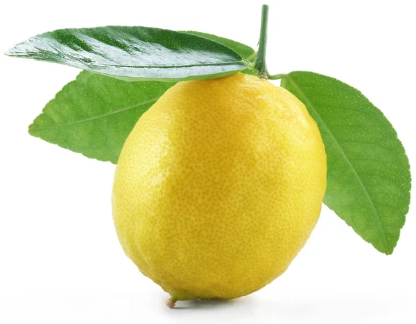 Lemon on a white — Stock Photo, Image